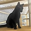 Thumbnail photo of Winnie #2