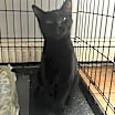 Thumbnail photo of Winnie #3