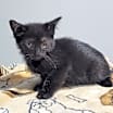 Thumbnail photo of Winnie #4