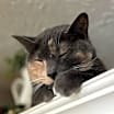 Thumbnail photo of Kelly #3