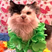 Thumbnail photo of Bryce #2