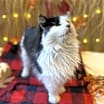 Thumbnail photo of Bryce #3