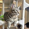 Thumbnail photo of Smokey #3