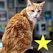 Thumbnail photo of Amelia #2