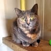Thumbnail photo of Heidi #2