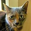 Thumbnail photo of Heidi #3