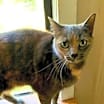 Thumbnail photo of Heidi #4