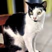 Thumbnail photo of Lucy #1