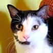 Thumbnail photo of Lucy #2