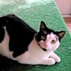 Thumbnail photo of Lucy #3
