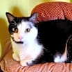 Thumbnail photo of Lucy #4