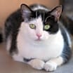 Thumbnail photo of Avalynn #1