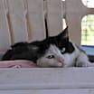 Thumbnail photo of Avalynn #2