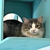 Thumbnail photo of Gretchen #1