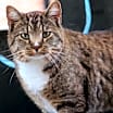 Thumbnail photo of Declan #2