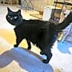 Thumbnail photo of Penelope #2