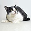 Thumbnail photo of Slim Jim #2