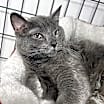Thumbnail photo of Bubs #1