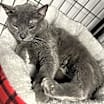 Thumbnail photo of Bubs #2
