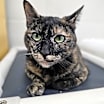 Thumbnail photo of Nina #1