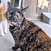 Thumbnail photo of Nina #2