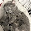 Thumbnail photo of Bubs #3