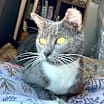Thumbnail photo of Geraldine #1