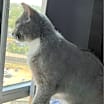 Thumbnail photo of Geraldine #3