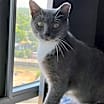 Thumbnail photo of Geraldine #4