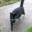 Thumbnail photo of Gwen #4
