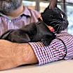 Thumbnail photo of Luna Williams #2