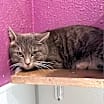 Thumbnail photo of Tom #2