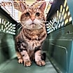 Thumbnail photo of Mister #2