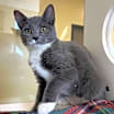 Thumbnail photo of Louise #2