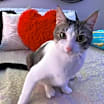 Thumbnail photo of Karen #1