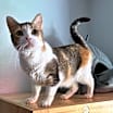 Thumbnail photo of Grace #1