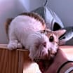 Thumbnail photo of Grace #3