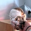 Thumbnail photo of Grace #4
