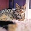 Thumbnail photo of Babs #2