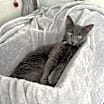 Thumbnail photo of Lily #1