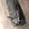 Thumbnail photo of Lily #3