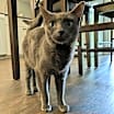 Thumbnail photo of Lily #4