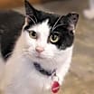 Thumbnail photo of Poptart #2