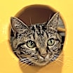 Thumbnail photo of Anna Beth #1