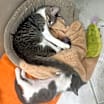 Thumbnail photo of Gia #2