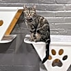 Thumbnail photo of Anna Beth #2