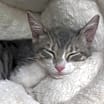 Thumbnail photo of Gia #4