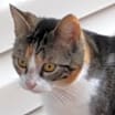 Thumbnail photo of Evie #1