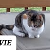 Thumbnail photo of Evie #2