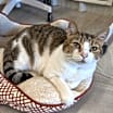 Thumbnail photo of O'Malley #3